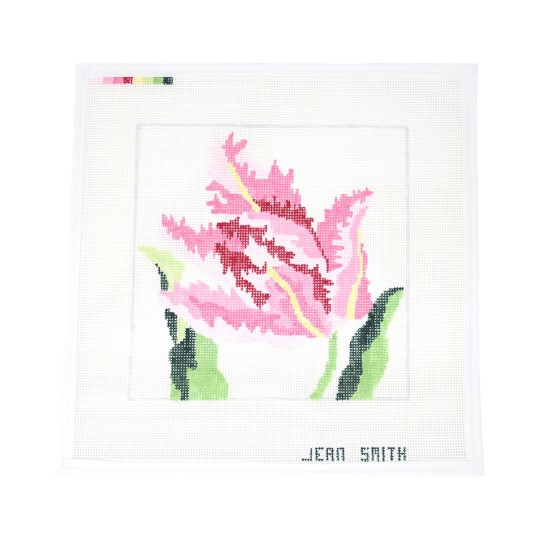 Pink Parrot Tulip