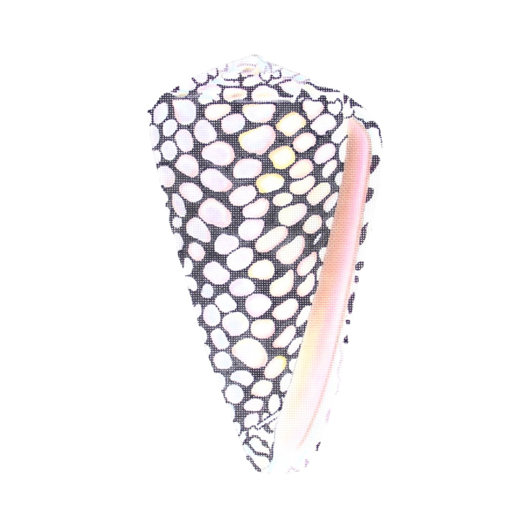 Large Seashell