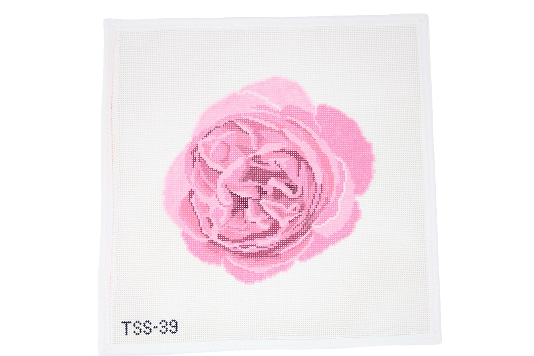 Garden Rose