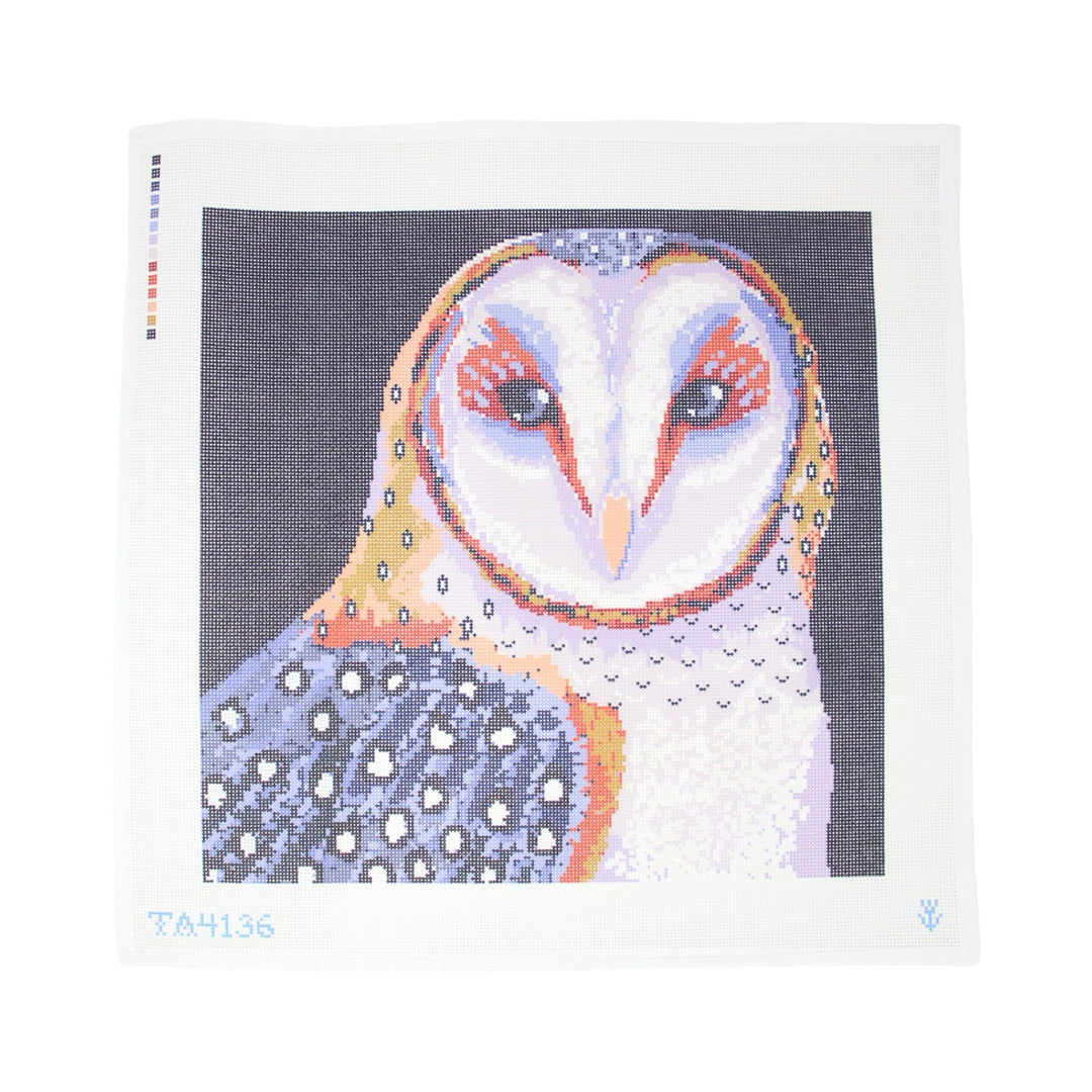 Barn Owl
