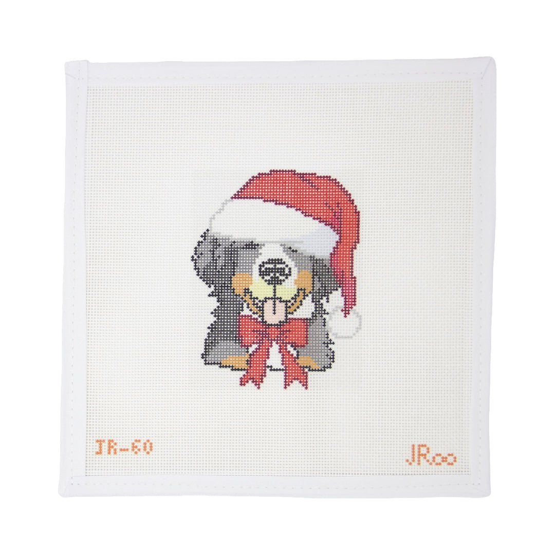 Bernie Santa