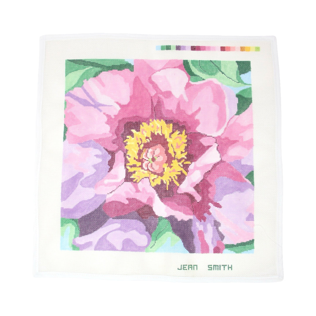 Tree Peony - Princess