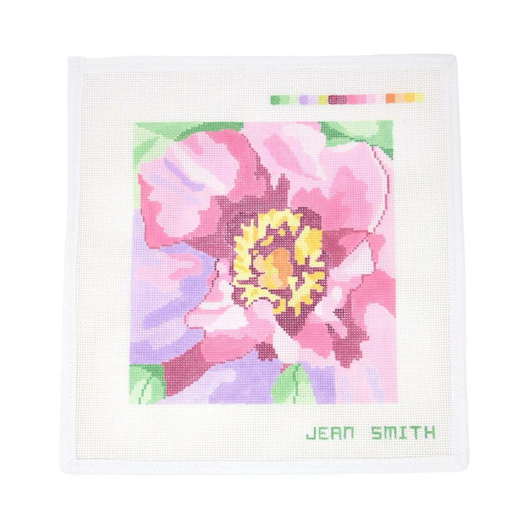Peony Duchess