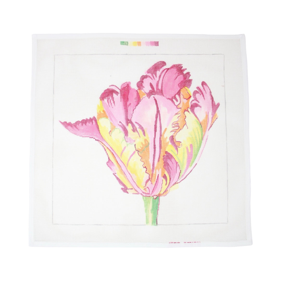 Regal Parrot Tulip