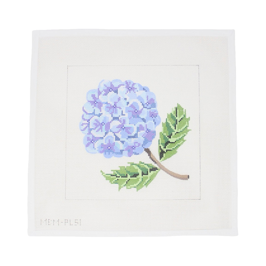 Hydrangea