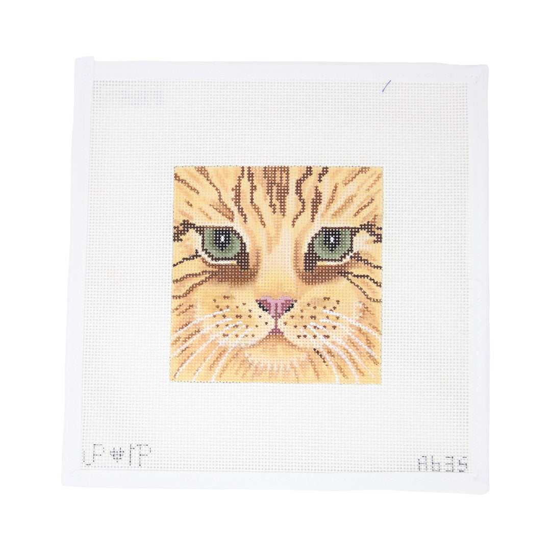 Cute Cat Face